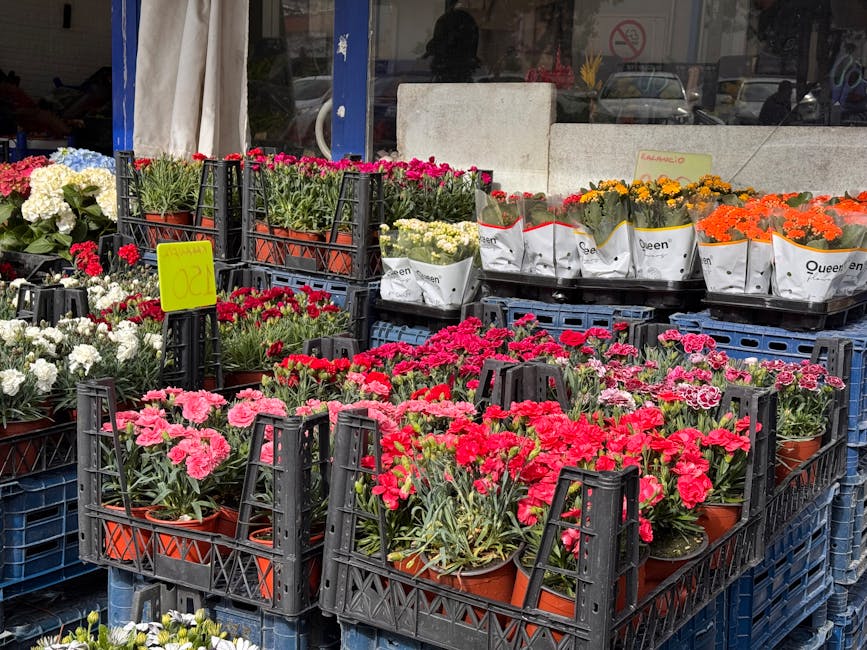 A display of various flowers arranged in black plastic crates outside a flower shop, including pink and red carnations, white, yellow, and orange marigolds, all in small terracotta pots. The flowers a